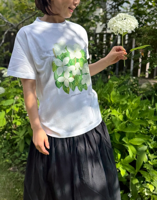 水彩画を着るTシャツ 「ヤマボウシ」