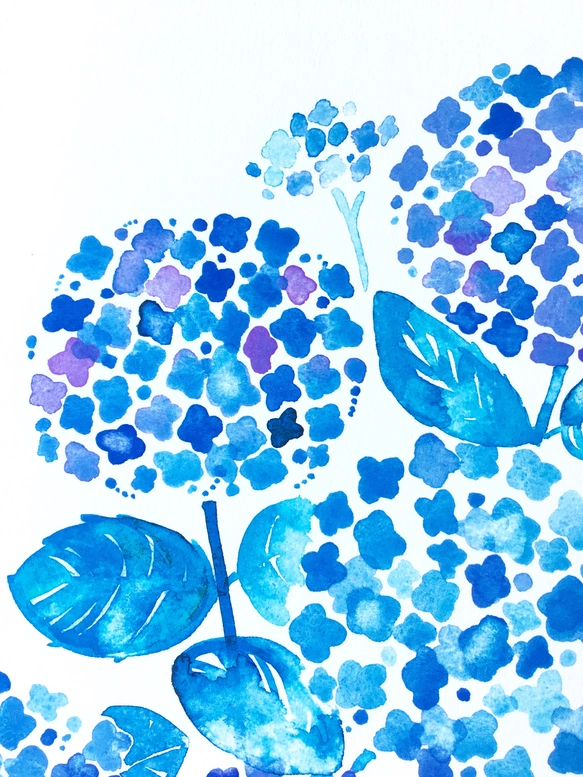 水彩畫海報 (A4) 「繡球花」