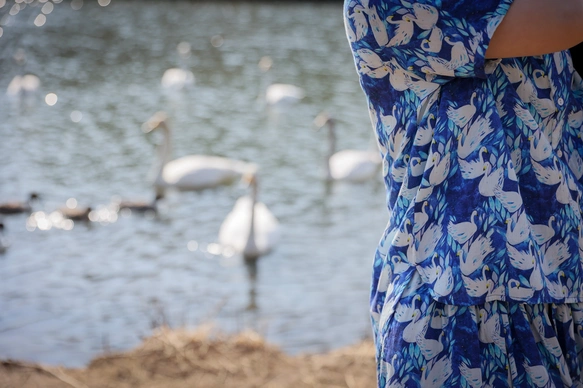 オーガニックコットン半袖ブラウス　「Swan」　