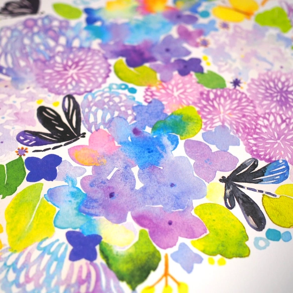水彩画ポスター(30cm×30cm)　「ハグロトンボと紫陽花」